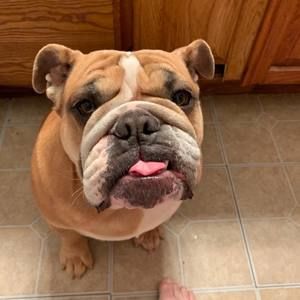 Meet your Posher, Brenda